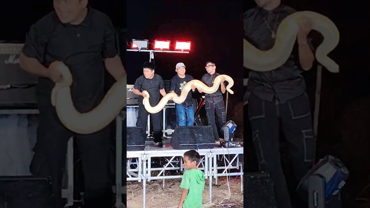 SAWA | Barangay Cabu Fiesta Variety Show 2026 (11)