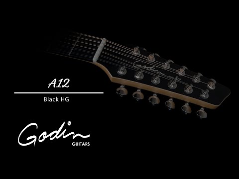 Godin A12 Black HG