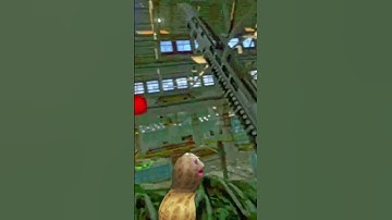 Mystery Solved #tarkov #tarkovclips #tarkovfunny #eft #escapefromtarkov