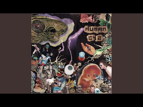 Human Eye — Salimander Soft Shoez
