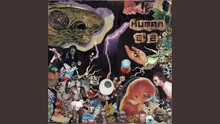 Salimander Soft Shoez screenshot 5