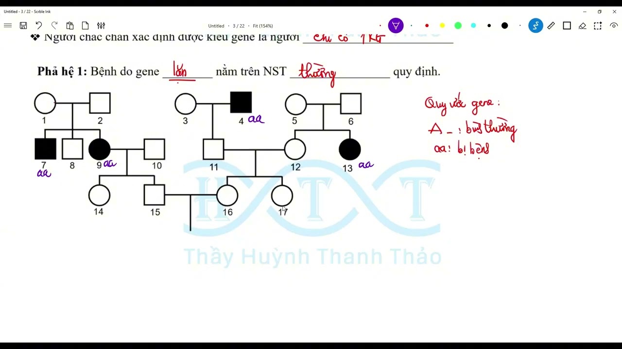 🎥 Phương pháp giải bài tập phả hệ (Sinh học 12) – Phần 1