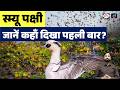 Smew Bird Spotted for the First Time in Kaziranga  | Current News | Drishti IAS
