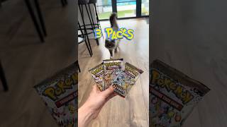 Cat Pokémon Battle EP 19 🧄🧂🌶️