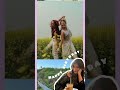 How to edit this video by inshot app 💛 birthday story ideas for you#inshot #story #editing #birthday