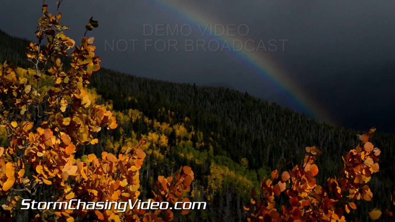 9/17 Rocky Mountain National Park Fall Colors