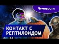 Как связаться с рептилоидом? | Чумовости Выпуск 3