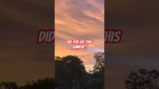 Download Lagu Did you see this? An absolute stunning #sunrise this morning. The hawks fly out.  #beautiful #sunset MP3