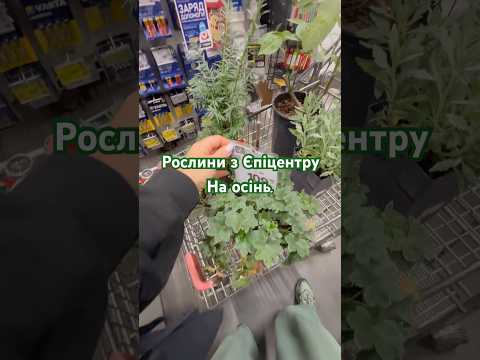 Рослини на осінь