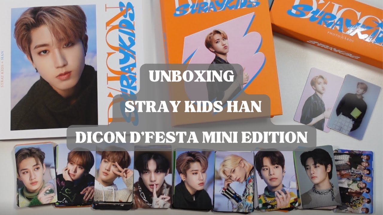 StrayKids dicon dfesta 東京 ハン 新品未開封