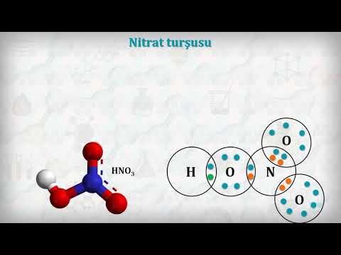 Video: Azot ailəsi nədir?