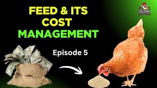 How to Manage Feed Costs Without Hurting Chicken Production | Rearing Chicken Series Ep. 5