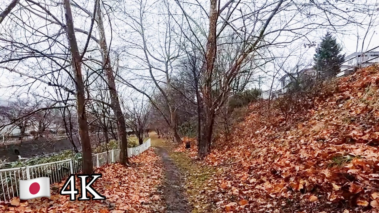 Peaceful Rain Walk Through a Quiet Japanese Village 🌧️