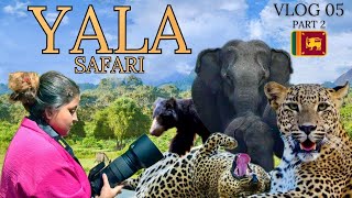 Yala National Park Safari 52           Thalgasmankada Bungalow
