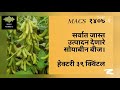 MACS 1407 सर्वात जास्त 😱उत्पादन देणारे सोयाबीन🤑 / हेक्टरी 39 क्विंटल