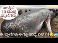 || ಜಗತ್ತಿನ ೧೦ ದೊಡ್ಡ ಪ್ರಾಣಿಗಳು || Top10 Biggest Animals In The World || IN KANNADA