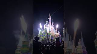 Disney World-Magic Kingdom-Happily Ever After