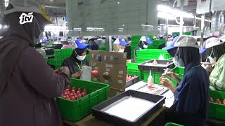 8 Perusahaan di Wilayah Madiun Raya Ajukan Perizinan Kawasan Berikat