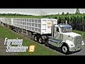 SELLING CORN WITH 3 BSM TRAILERS! (bad idea) | Lone Oak - Farming Simulator 19