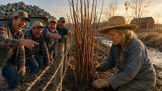 They Laughed When She Planted Willows Along The Creek  Until The 93 Flood Spared Only Her Fields