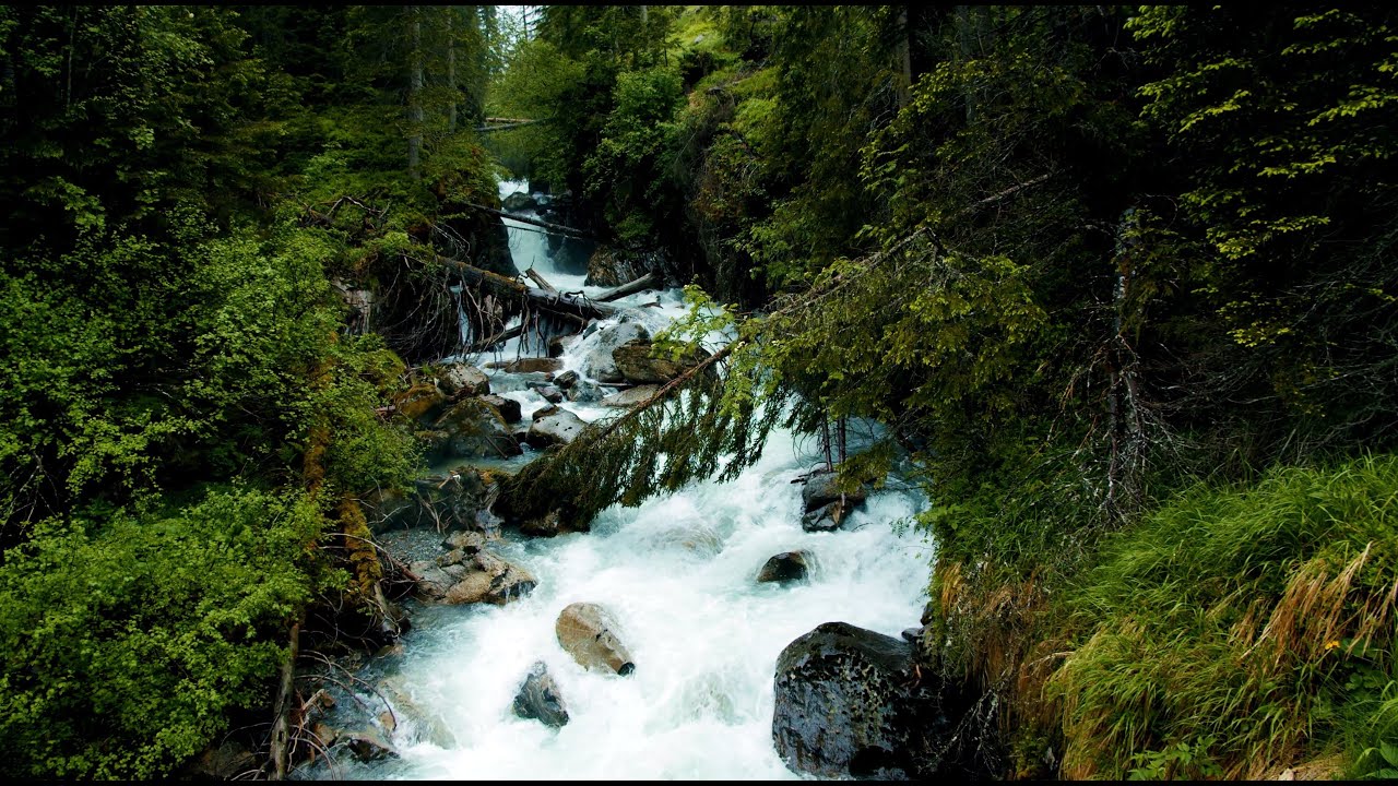 Mountain River 🌊 Relaxing Water & Forest Sounds | 4 Hours Sleep, Study, Meditation 🧘‍♀️