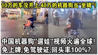 10万元的車還沒開上，40萬的機器狗已經當“坐騎”了？中國機器狗“遛娃”視頻火遍全球！免上牌，免駕駛證，回頭率100%？