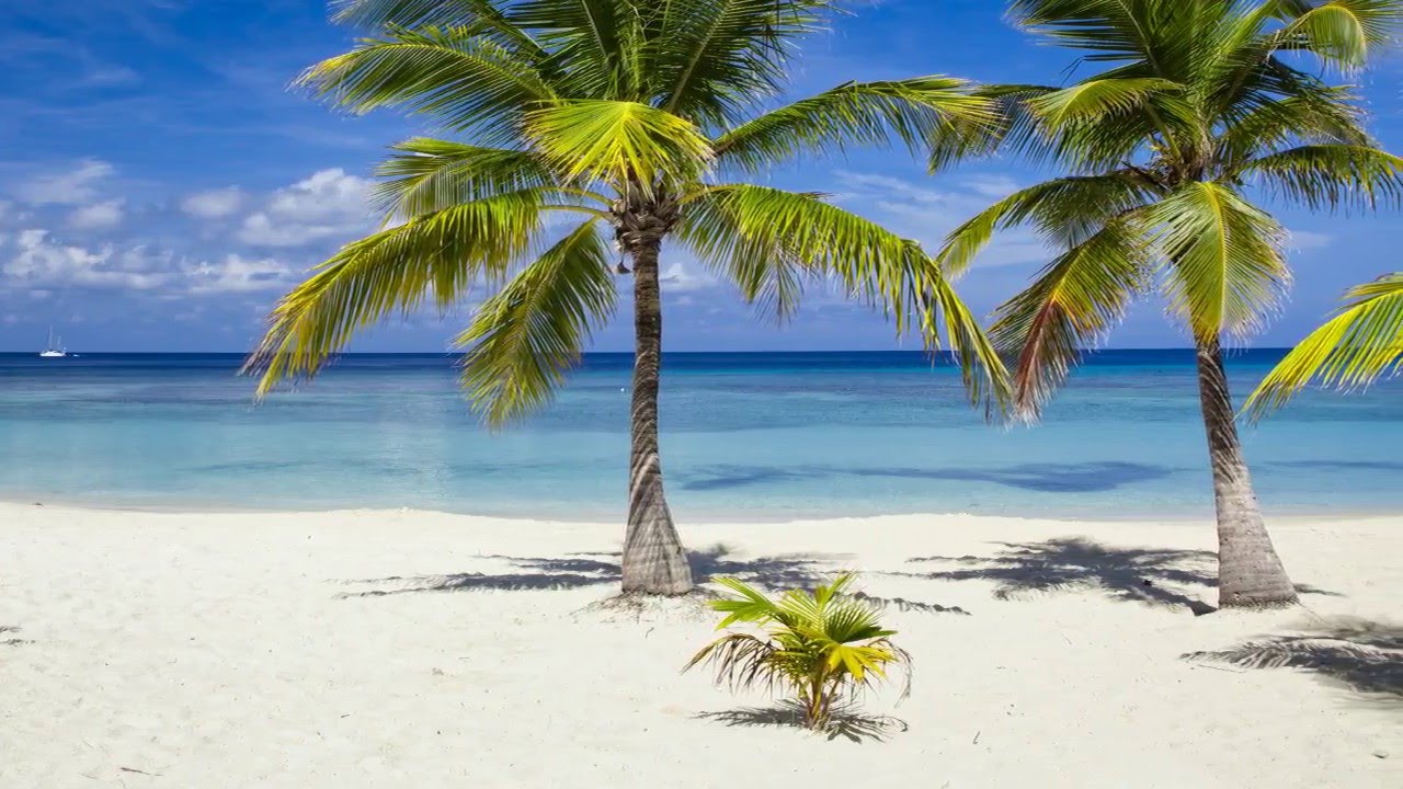 Atlantis Dive Resorts - Philippines
