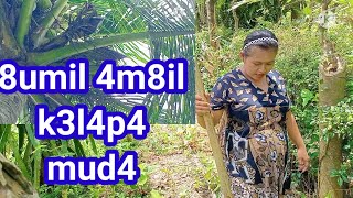 8und4 m3tik k3l4p4 mud4 di k3bun n494