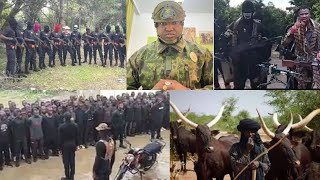 BREAKING‼️IMO STATE ON F1ŘÊ AS B.L.A RAIDS ASARI DOKUBO CAMP, CAPTURES NOTORIOUS KINGPIN IN IMO!