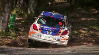 Rallye AinJura 2024   Mistakes  Adrille Rallye