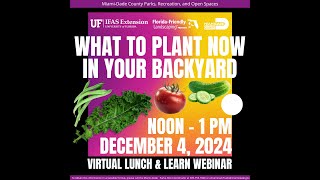 What to Plant Now In Your Backyard South Florida (September through December)