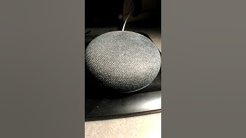 Google Home Mini just pretends to be clever! #Shorts #ytshorts
