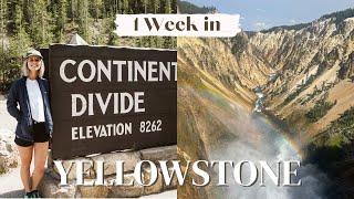 How to Spend 1 Week in Yellowstone National Park! 🦬