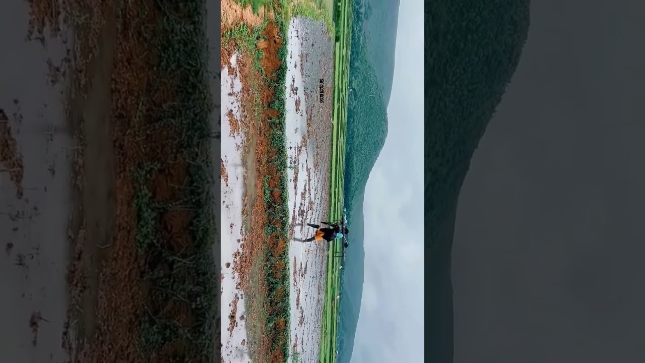 ODISHA 📍 Village 🫂 