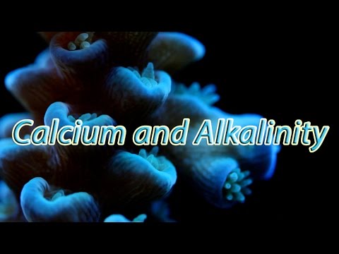 quick chemistry reef aquarium