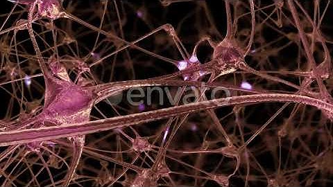 Network of Neurons and Synapses  (Videohive  Motion Graphics Templates)