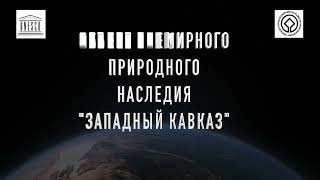 Трейлер к фильму 