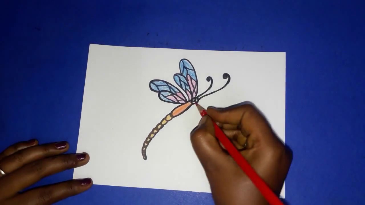 How To Draw A Dragonfly Easy - jogadasdexadrezejogoonline