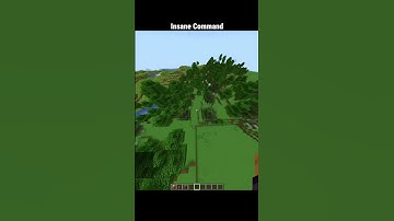 Insane Minecraft Command 💀 | #minecraft #shorts #gaming