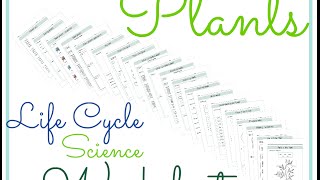 Plants Life Cycle Science Worksheets