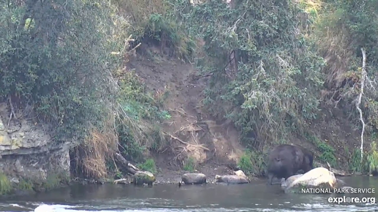 747 heads up the far path 9/1/2019 - YouTube