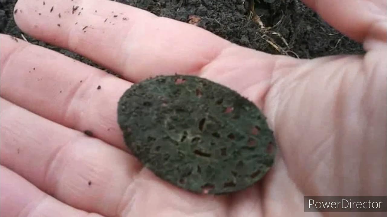 100 Grand! 3 Silver Coins Model T Valve Stem Cover YouTube