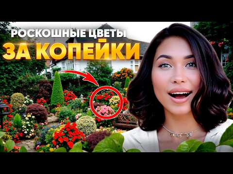 25 САМЫХ лучших цветов для своего роскошного сада!