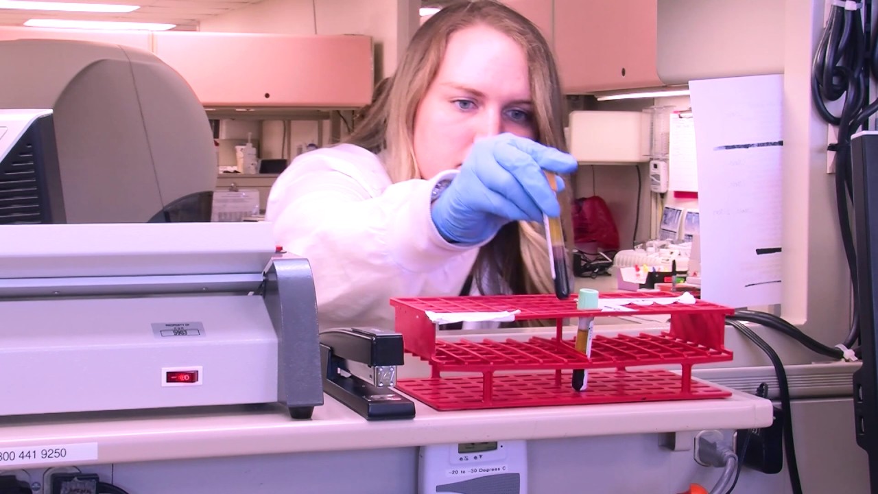 CGH Medical Center Lab Week 2017 YouTube