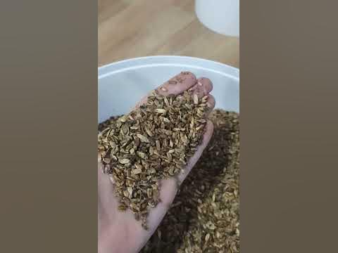 жмых расторопши пятнистой, органической, после отжима сыродавленного ...