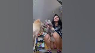 Pano pagselosin Ang aso kong si Yumi?