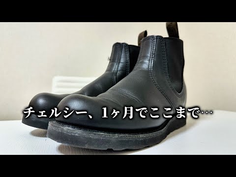 Black Redwing] Chelsea's 