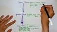 Analitik Kimyada Titrasyon Tekniğinin Prensipleri ile ilgili video