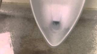 4331: 0.5 gpf Kohler Dexter Urinal