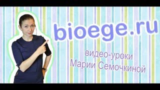 Задачи по генетике: Сцепленное с полом наследование 1 Задачи по генетике: Сцепленное с полом наследование 1